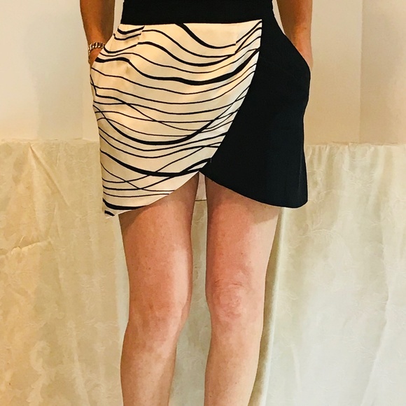 Silk Mini Skirt - Picture 1 of 5